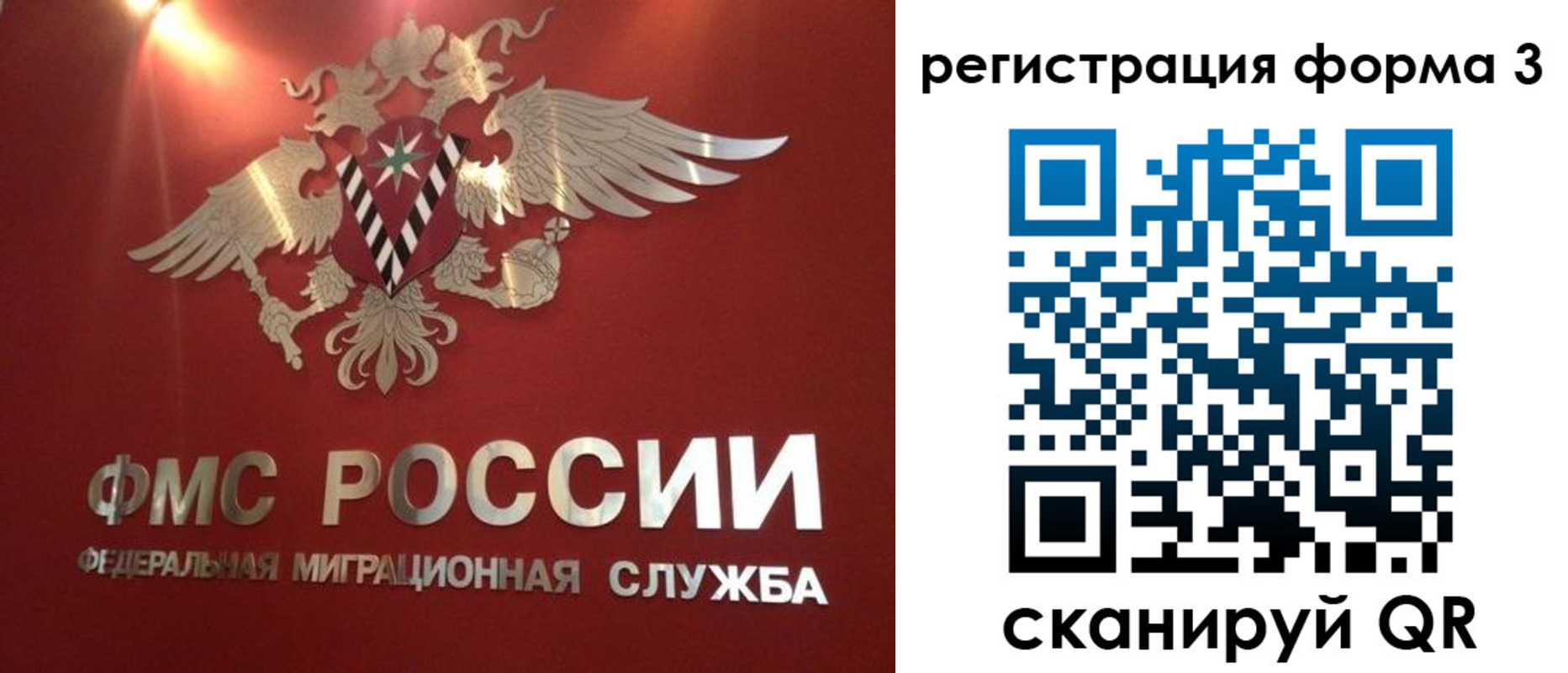 прописка гарантия в Брянской области